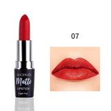 Sexy Matte Lipstick Makeup Silver 12 Color Nude Long Lasting Pigment Waterproof Nutritious Velvet Lips Stick